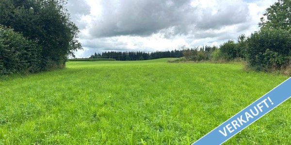 Weitblick-verkauft